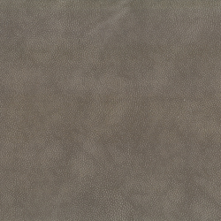 Weekend Walks Shitake